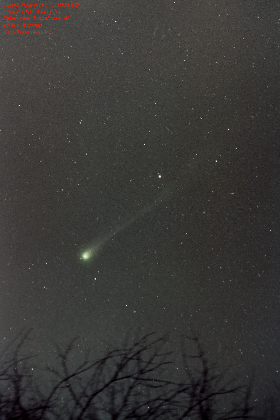 Comet Hyakutake (c/1996 B2) taken in 1996 from a park south of Tuscaloosa, AL with a film camera using Konica SRG-3200 film.