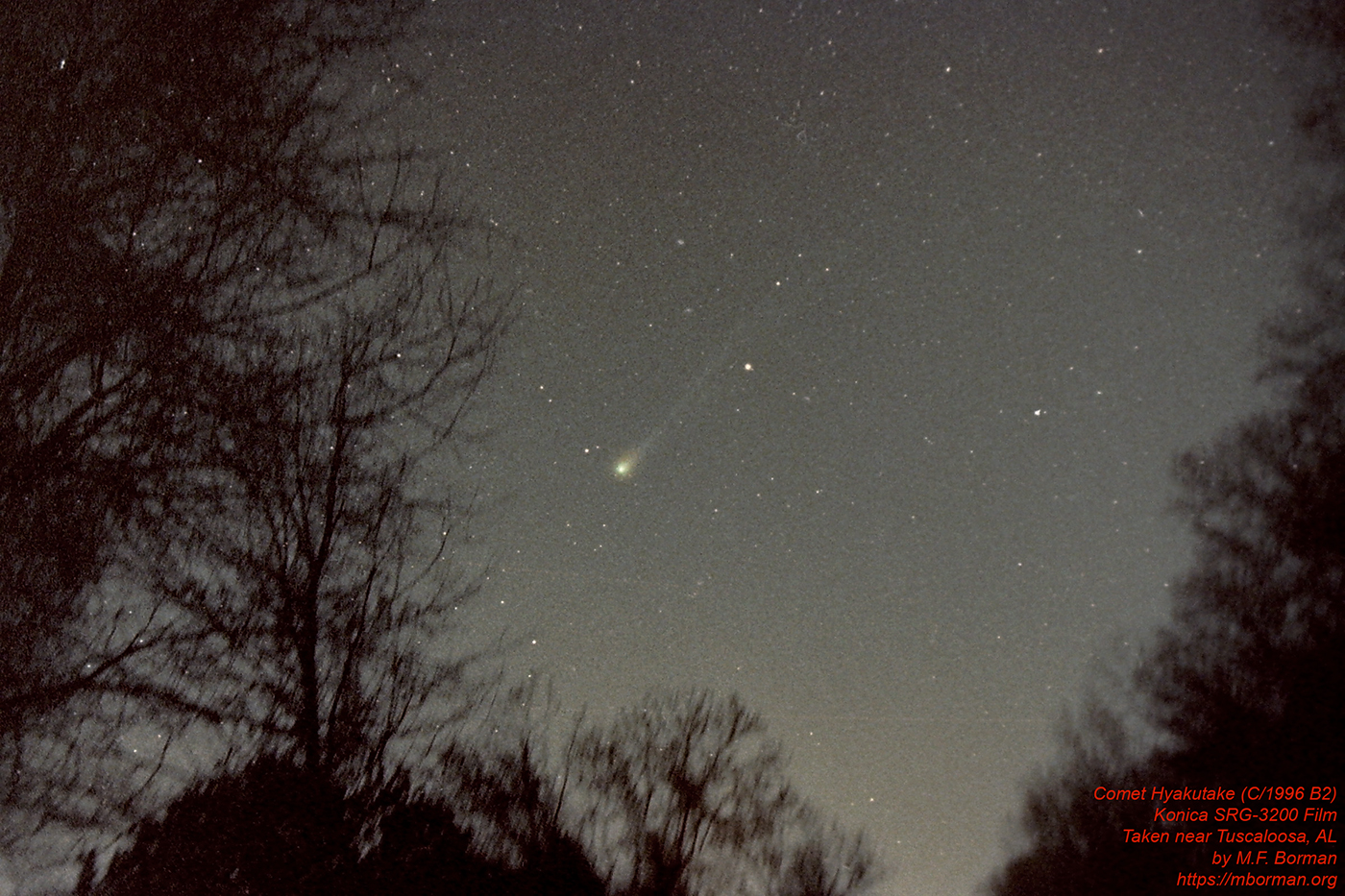 Comet Hyakutake (c/1996 B2) taken in 1996 from a park south of Tuscaloosa, AL with a film camera using Konica SRG-3200 film.
