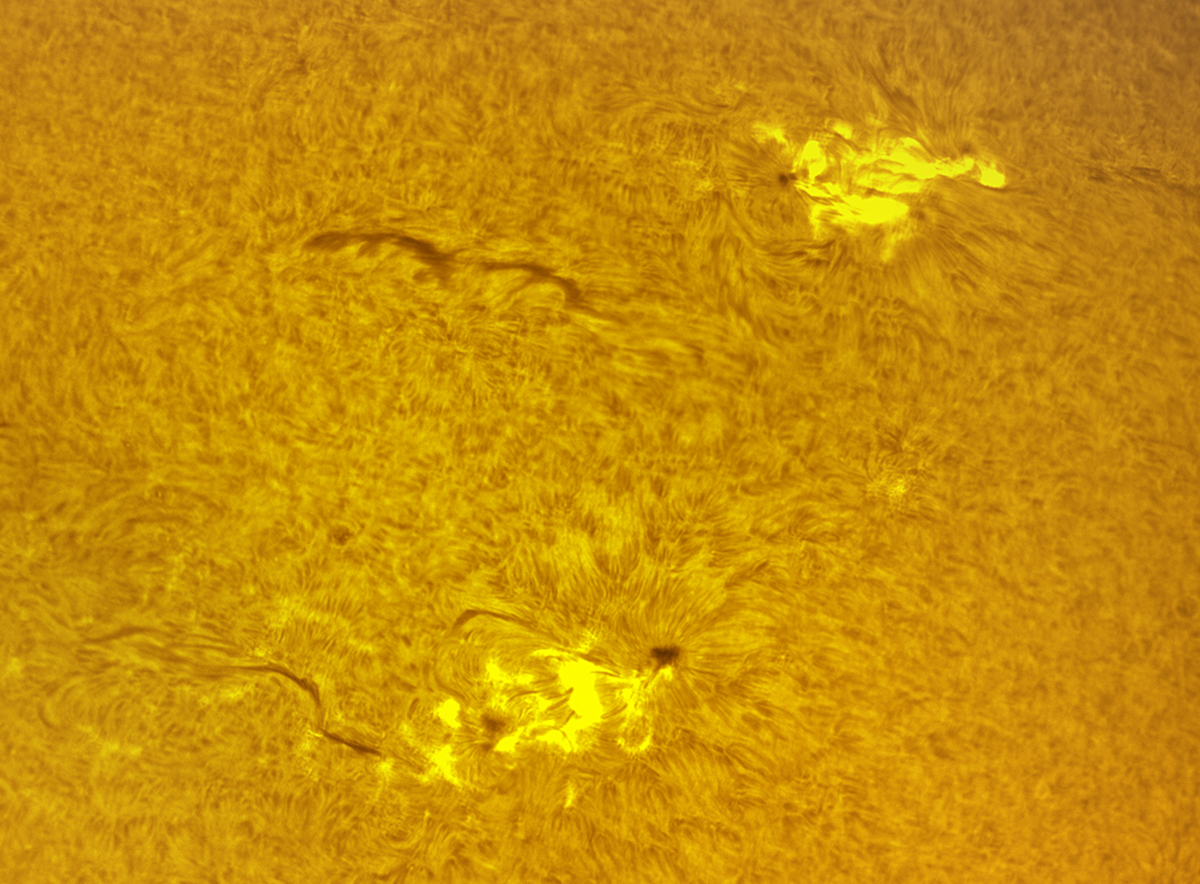 Active regions in h-alpha 10/14/25