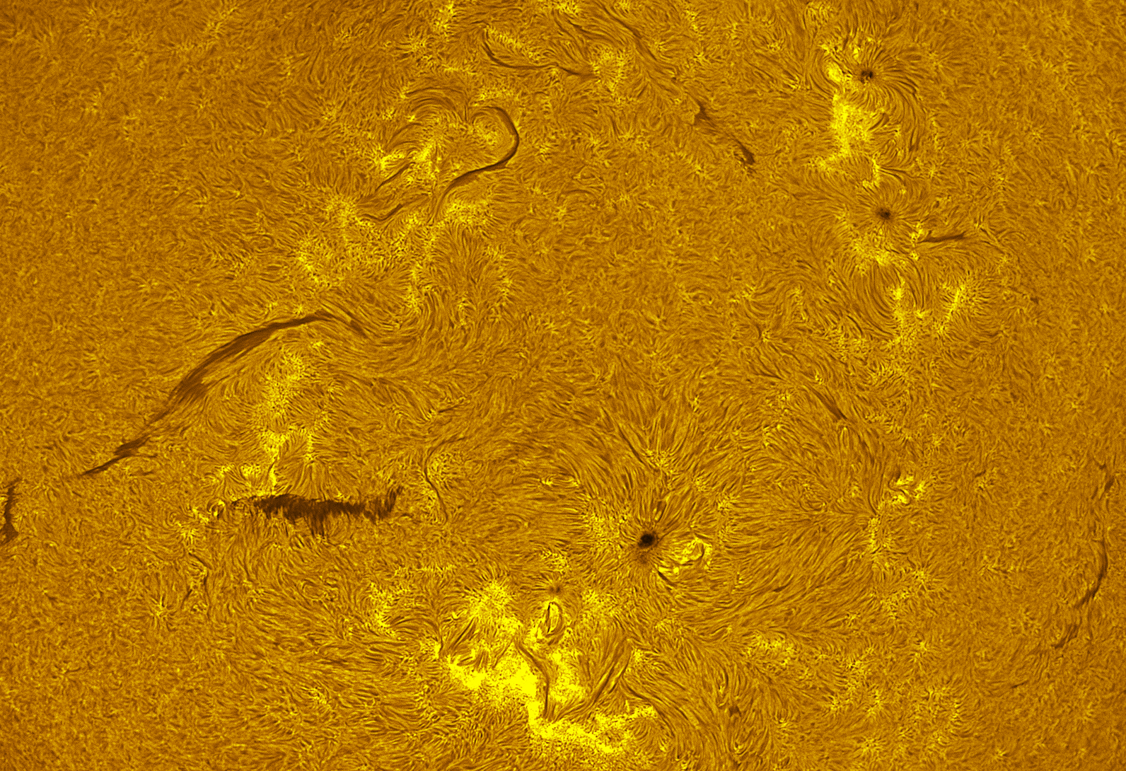 Active region 4444 thru 4449 in h-alpha 05/28/26