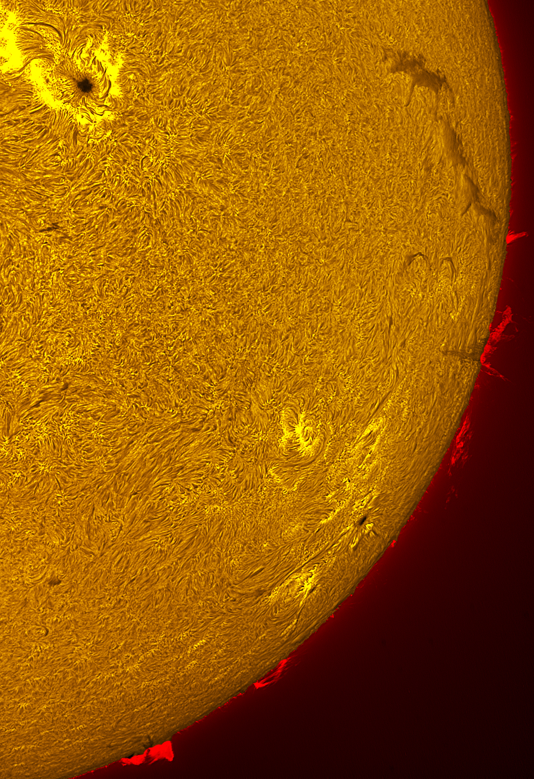 Active region 4446 in h-alpha 06/03/26