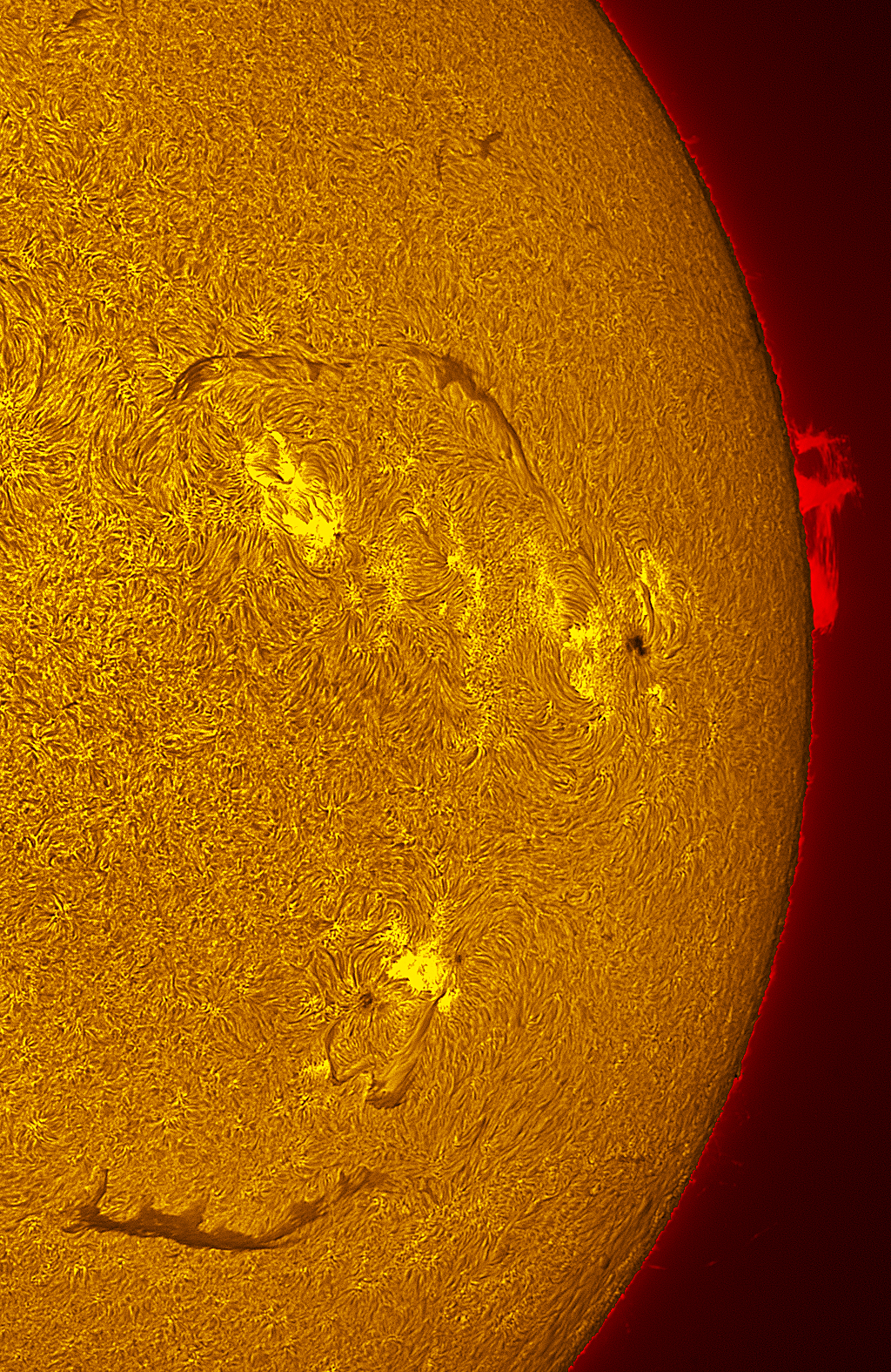 Active region 4455 in h-alpha 06/06/26