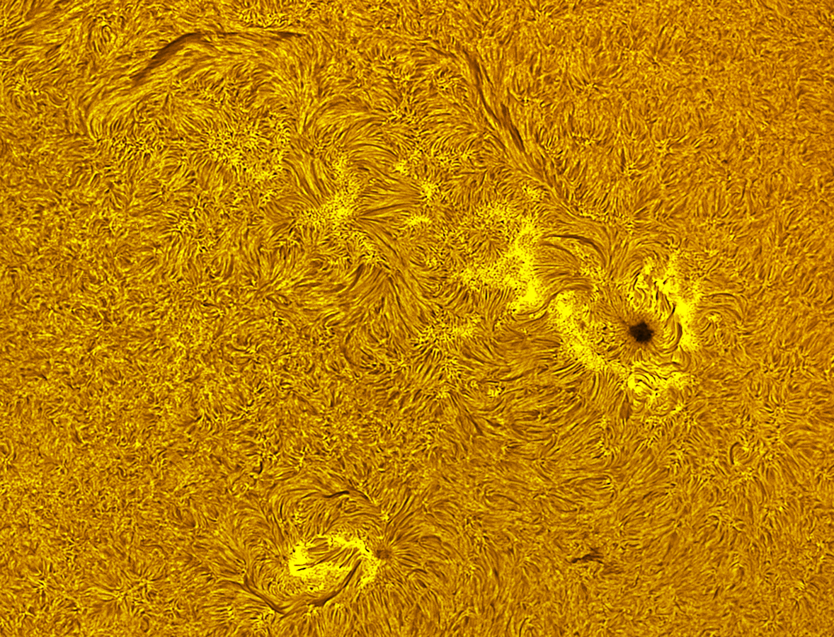 Active region 4455-4458 in h-alpha 06/03/26