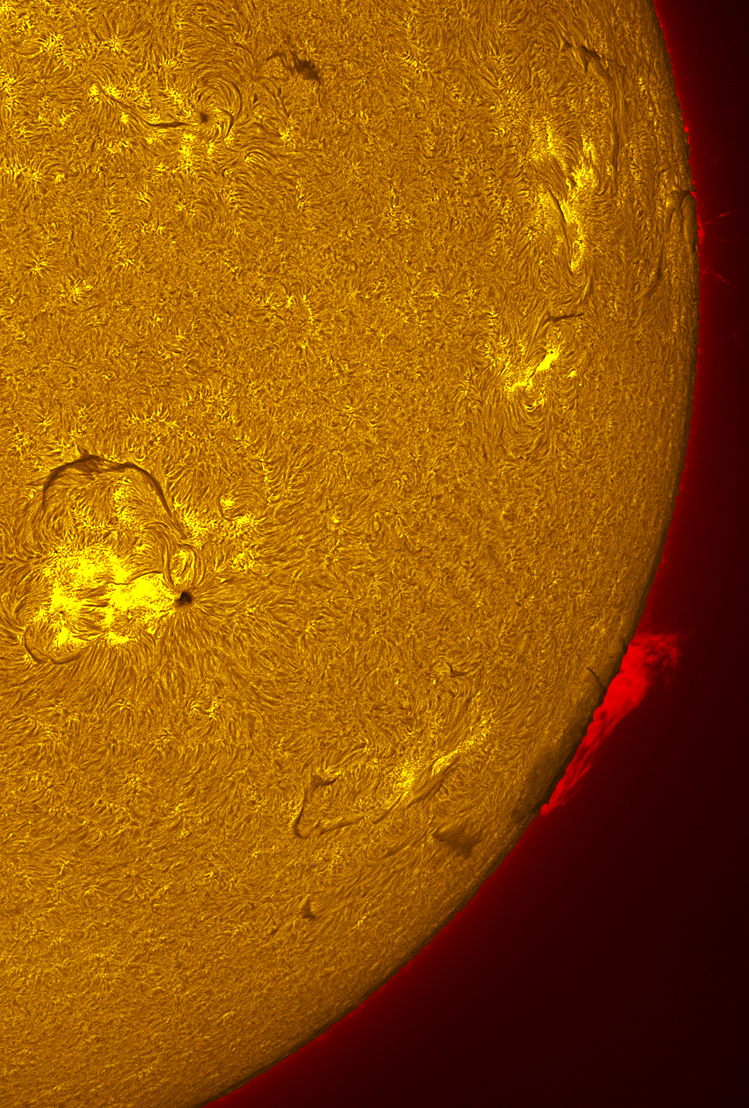 Active region 4464 in h-alpha 06/12/26