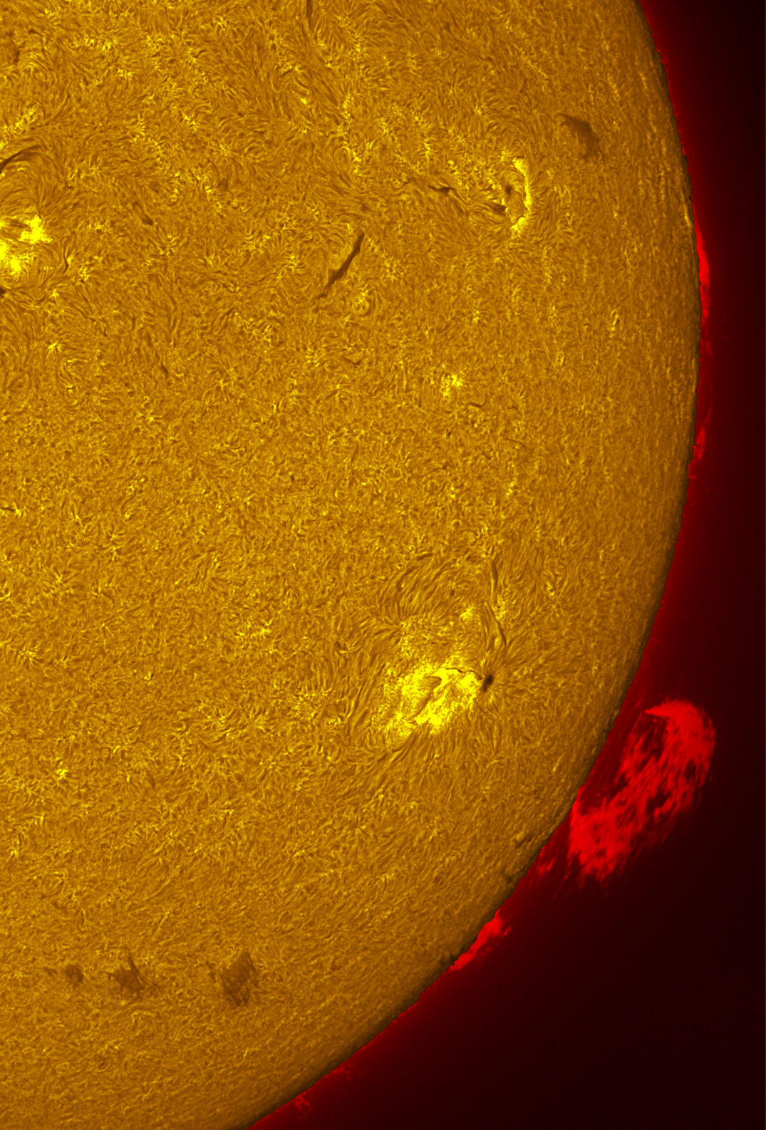 Active region 4464 in h-alpha 06/14/26