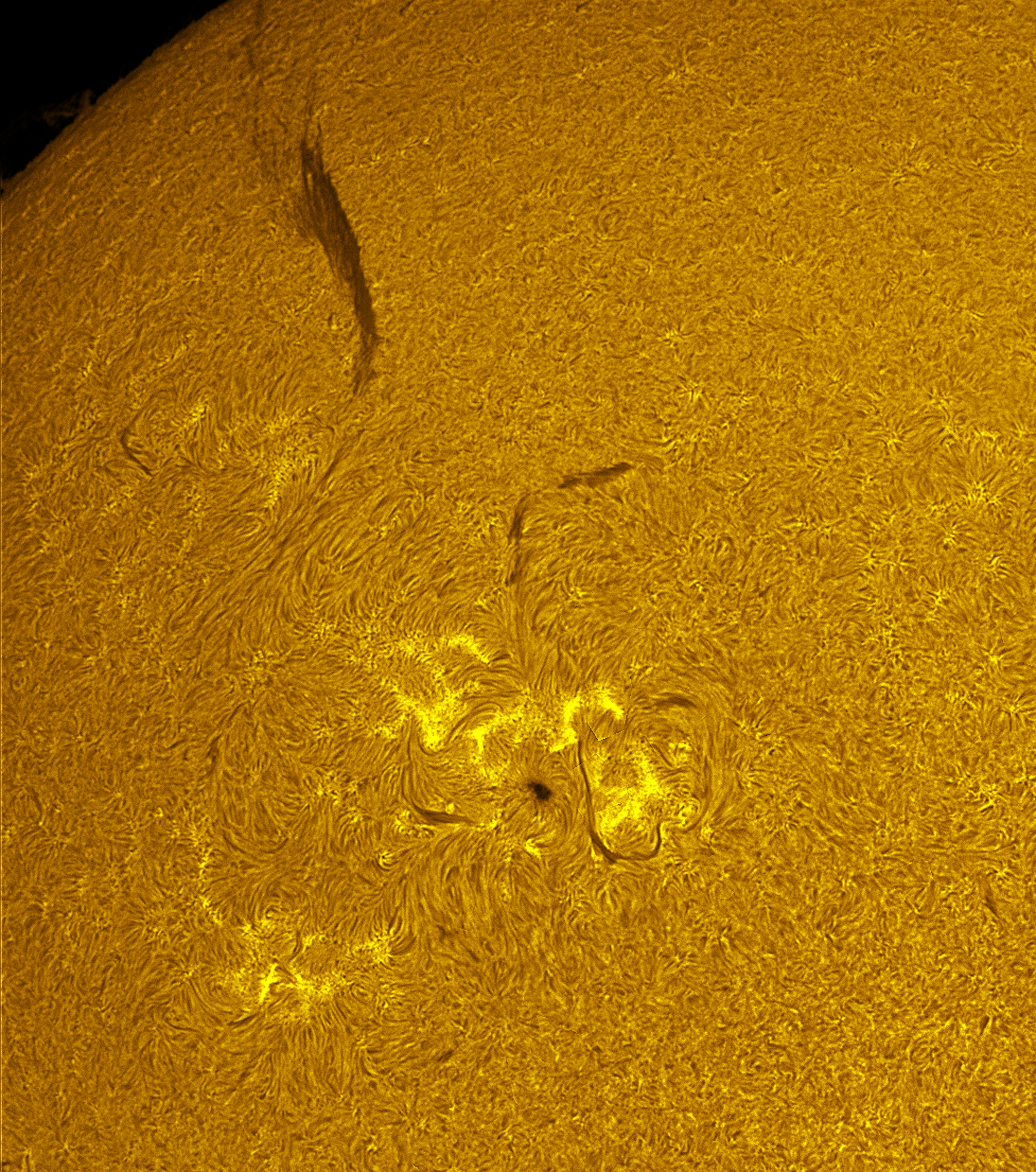 Active region 4465 in h-alpha 06/12/26