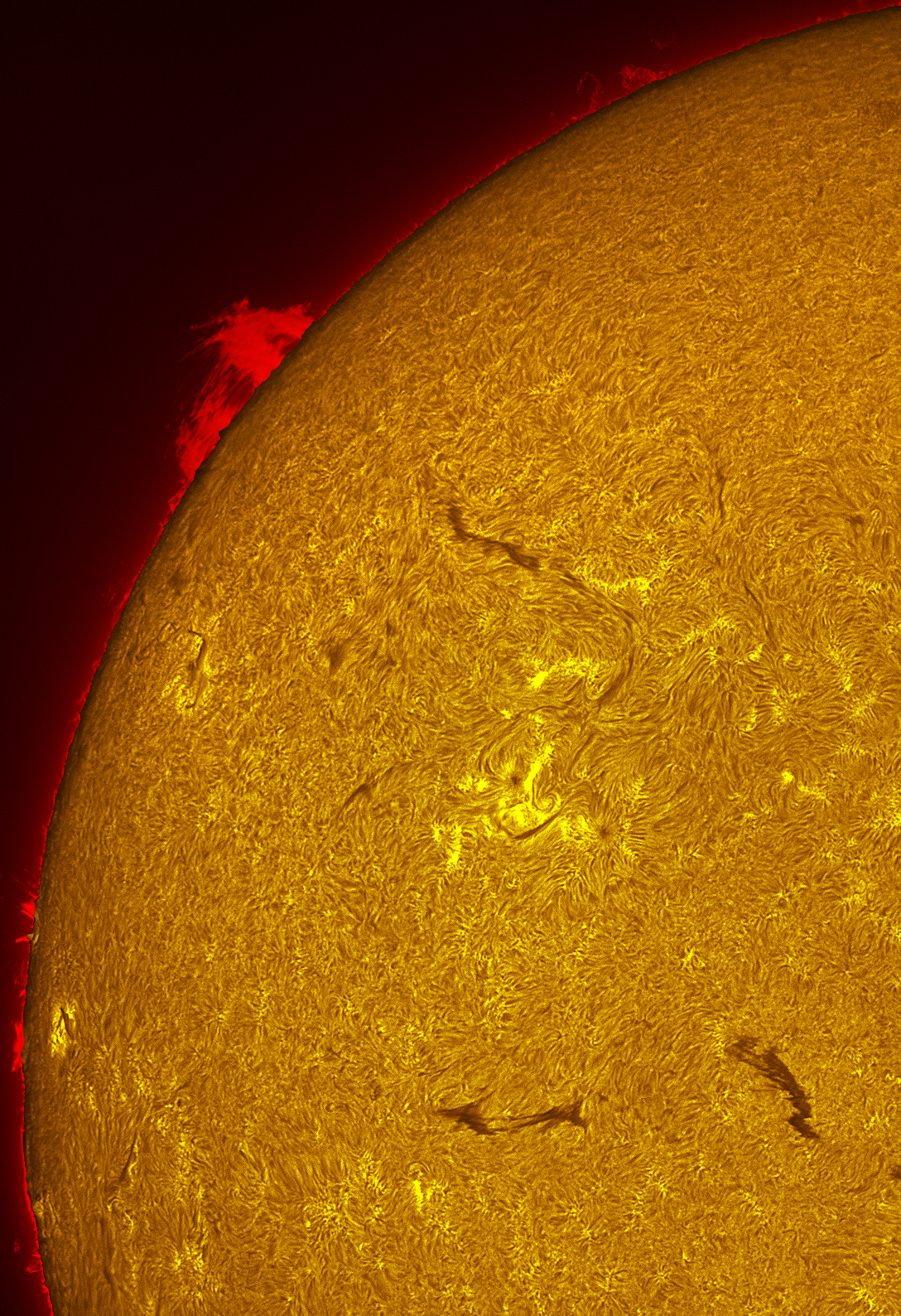 Active region 4470 in h-alpha 06/19/26