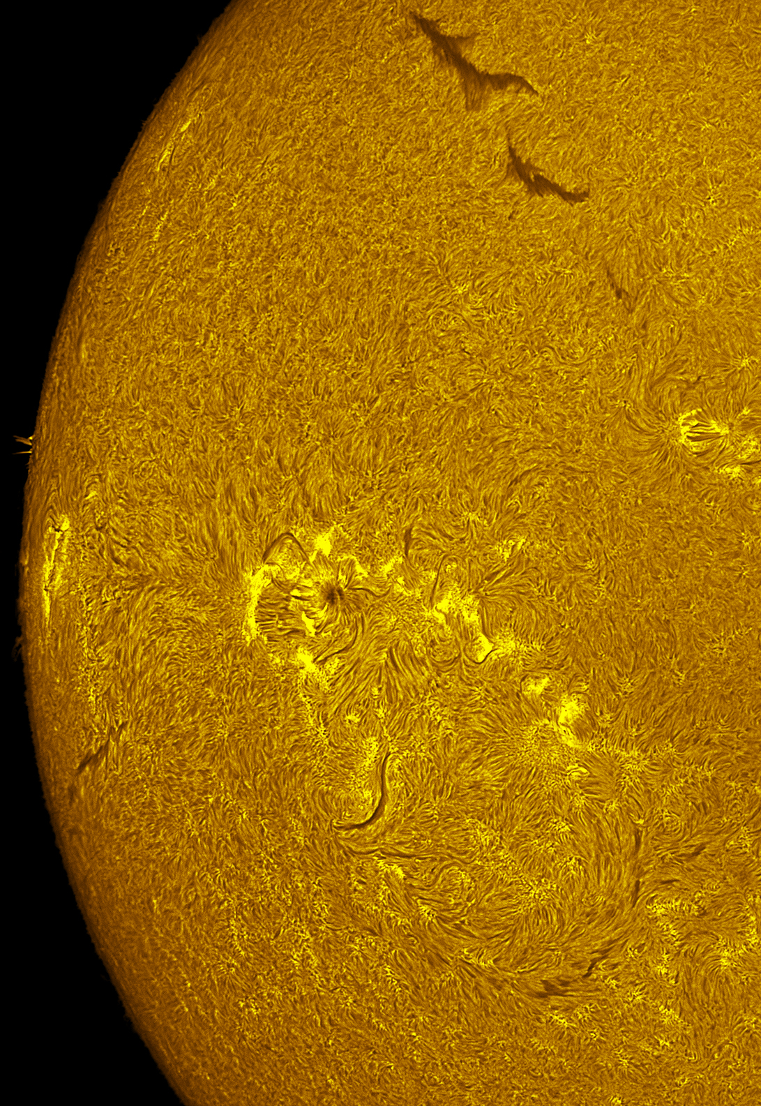 Active region 4475 in h-alpha 06/23/26