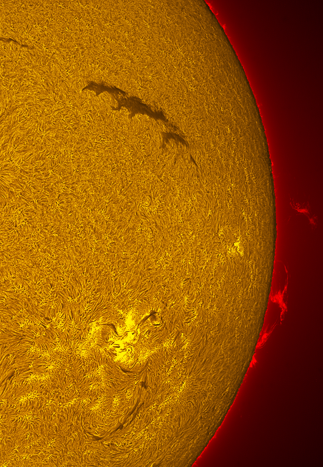 Active region 4475 in h-alpha 06/29/26