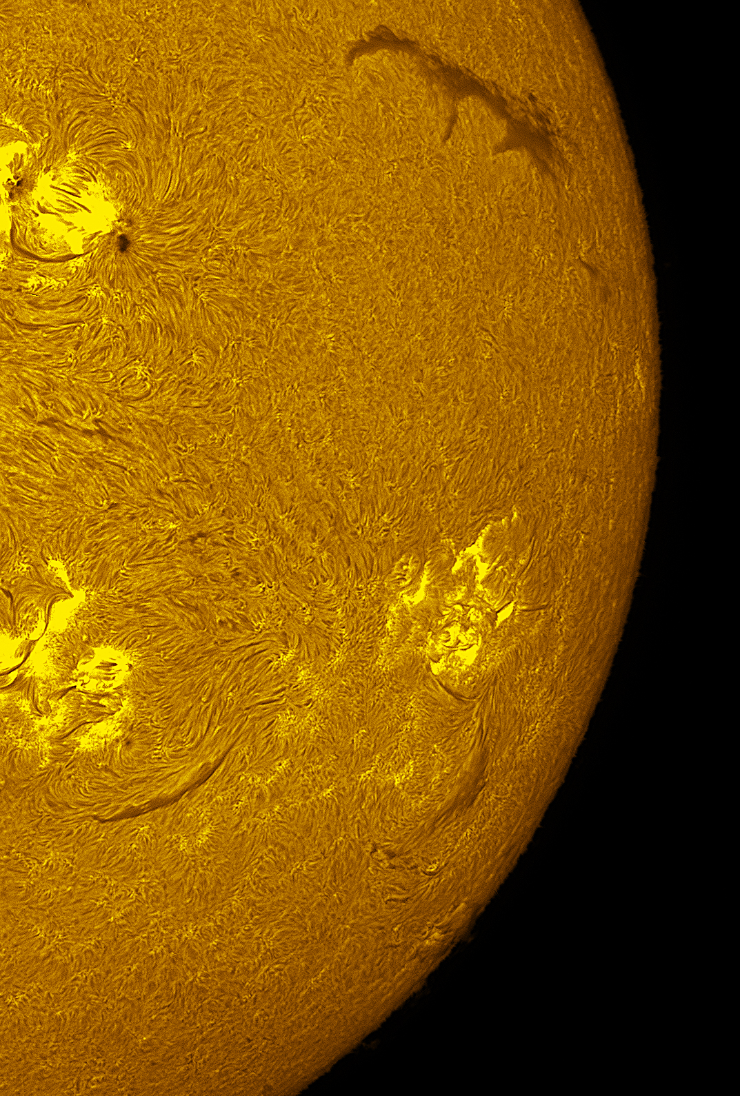 Active region 4475 in h-alpha 06/30/26