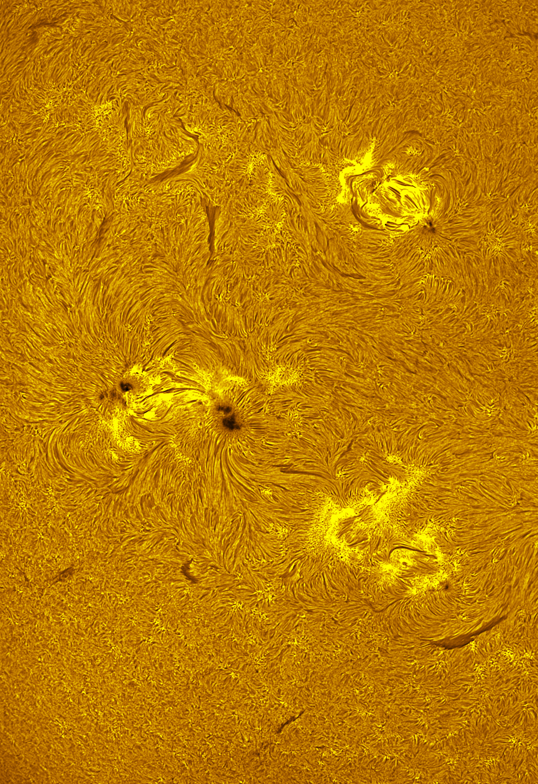 Active region 4477-4480 in h-alpha 06/28/26