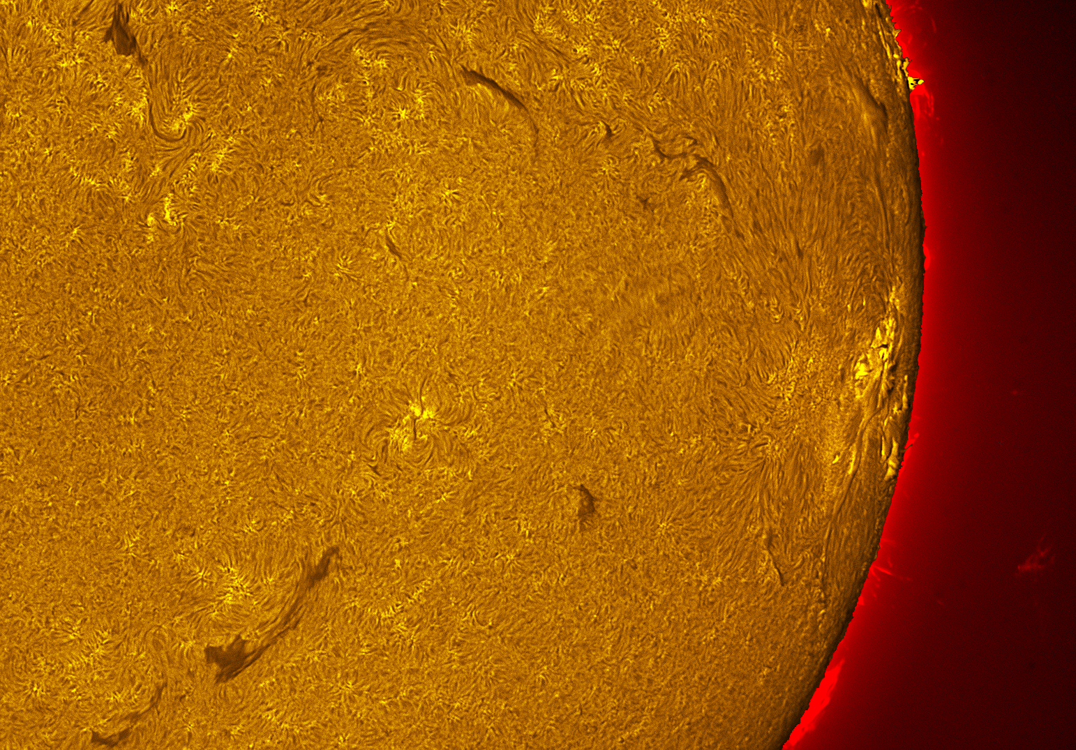 Active region 4478 in h-alpha 07/05/26