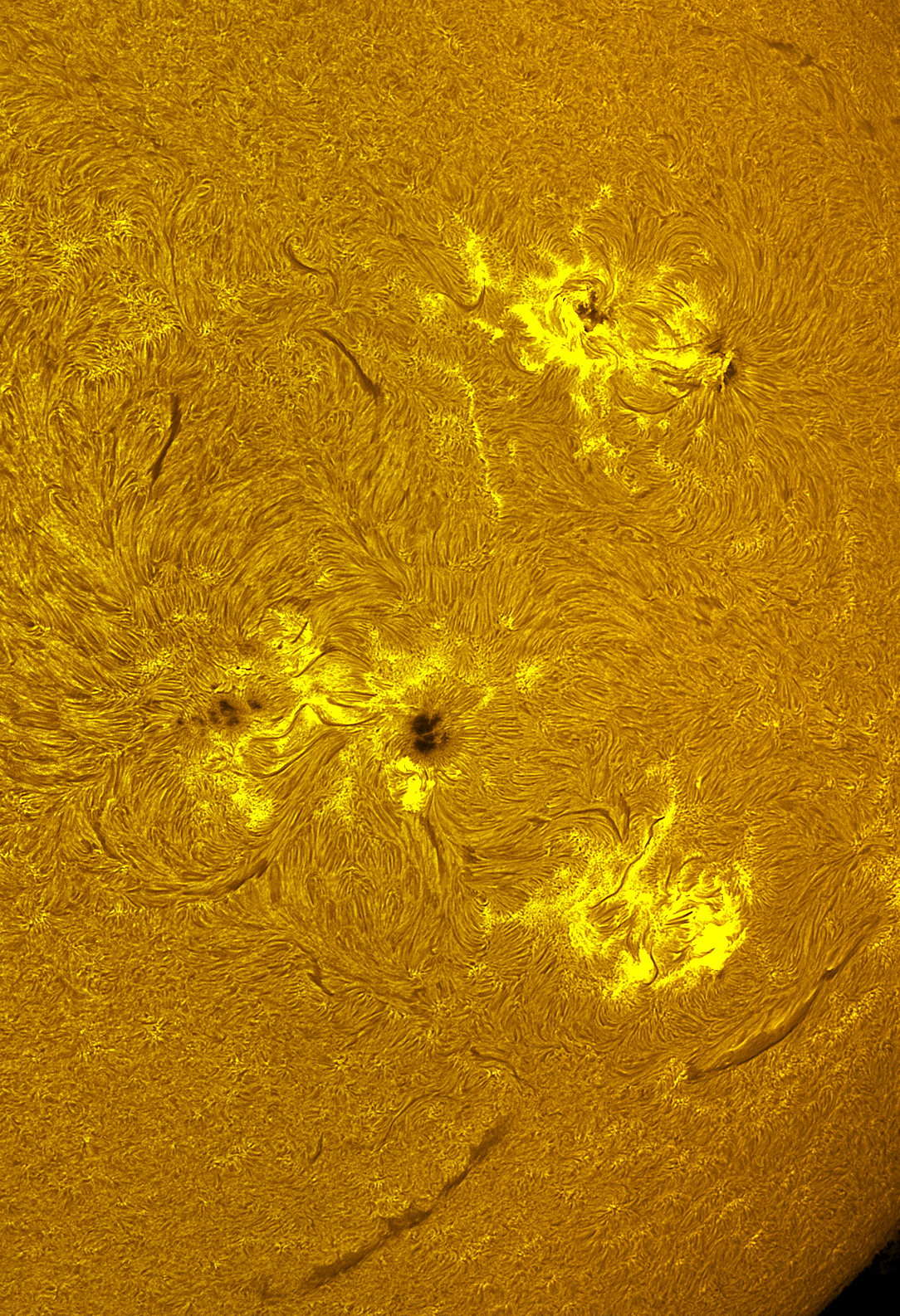 Active region 4478-80 in h-alpha 07/01/26