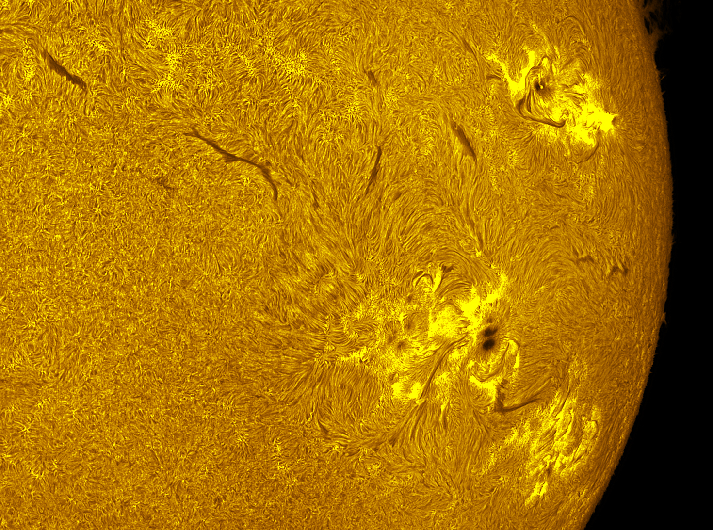 Active region 4478-80 in h-alpha 07/03/26