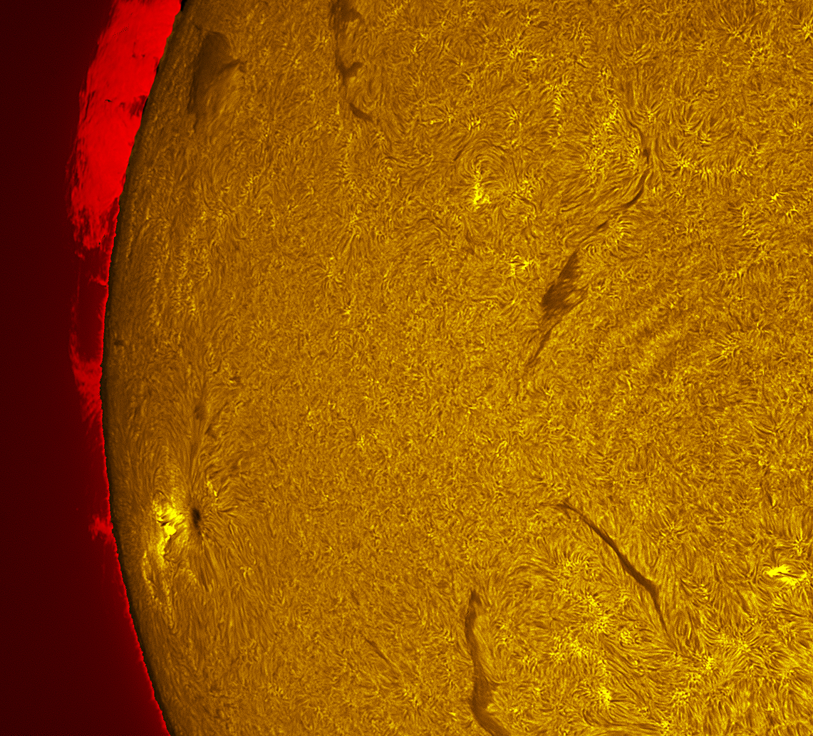 Active region 4482 in h-alpha 07/05/26