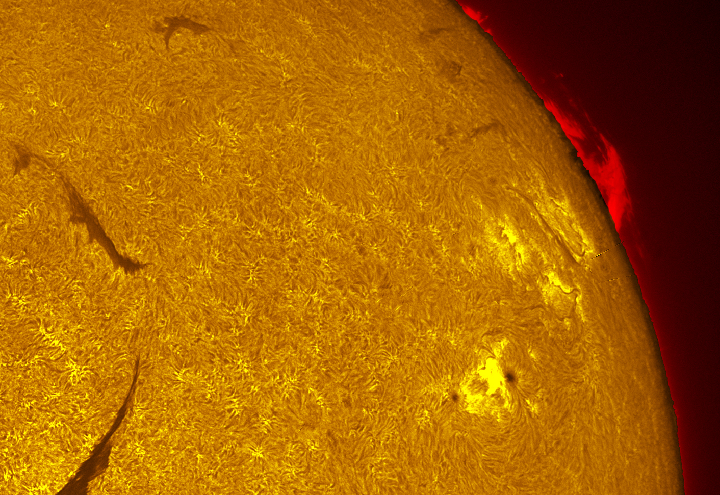 Active region 4536-4537 in h-alpha 09/25/26