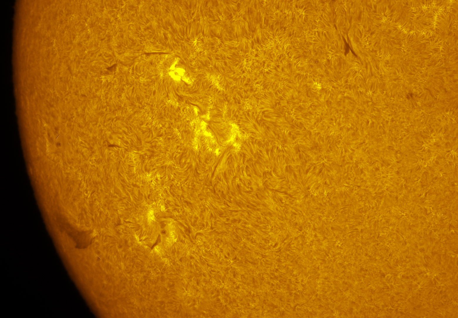 Active region 4545 in h-alpha 10/03/26