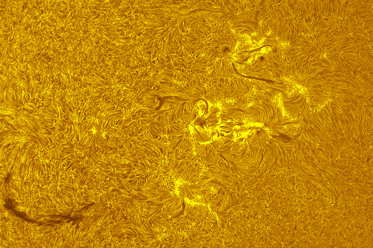 Active region 4549 in h-alpha 10/07/26