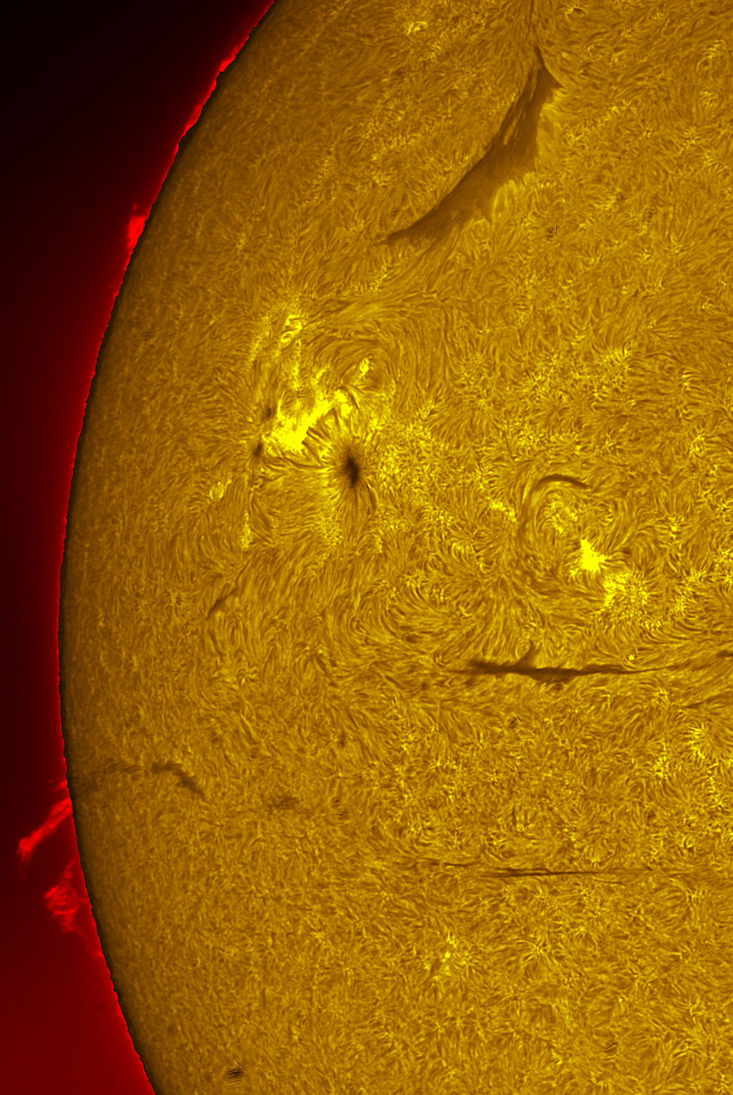 Active region 4551 in h-alpha 10/11/26