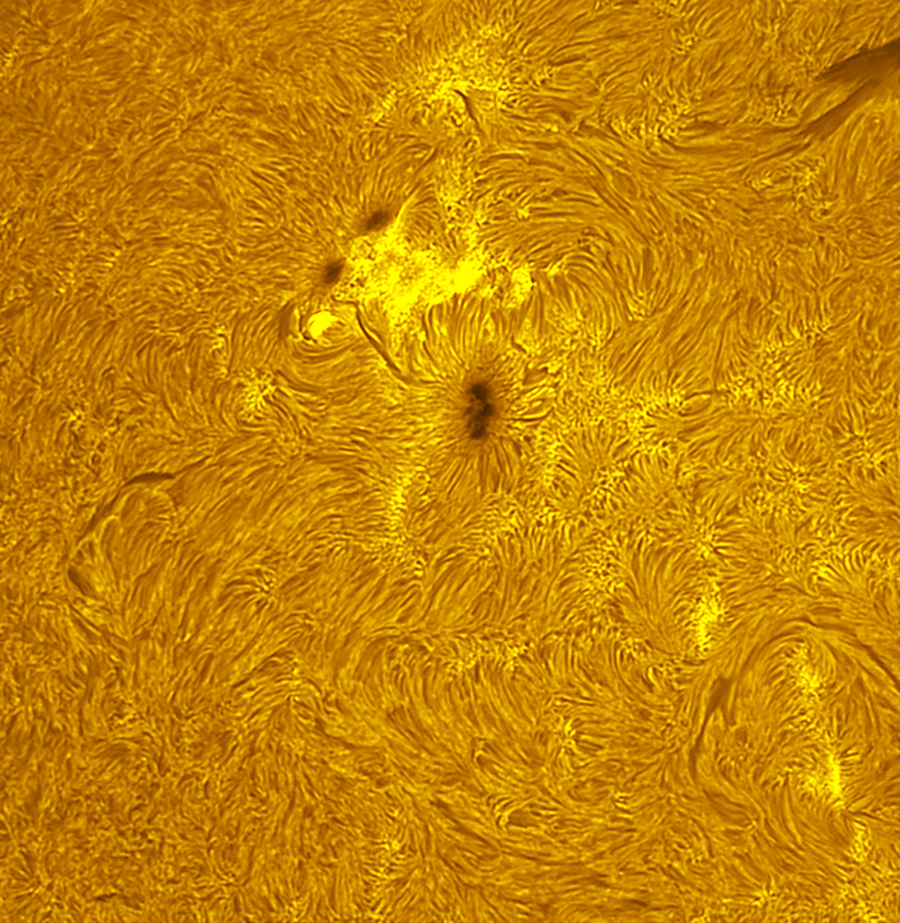Active region 4551 in h-alpha 10/12/26