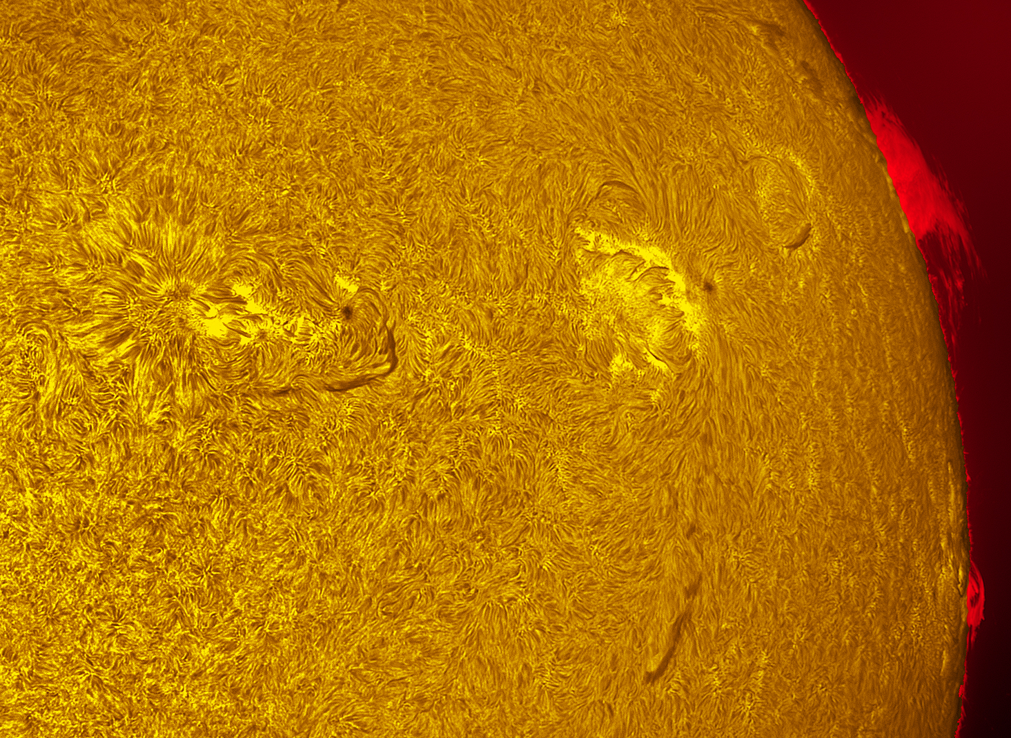 Active region 4557-4560 in h-alpha 10/21/26