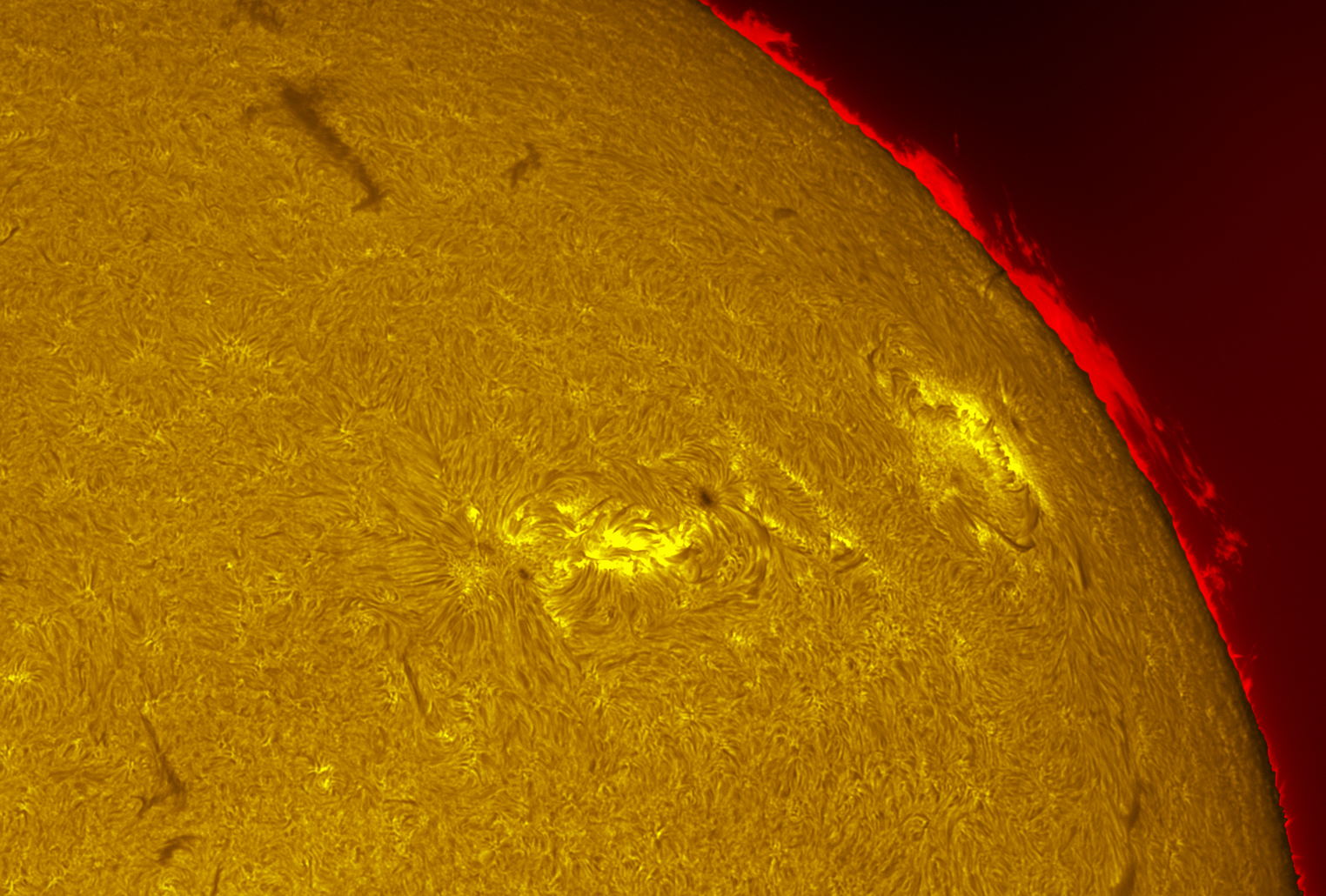 Active region 4557-4560 in h-alpha 10/22/26