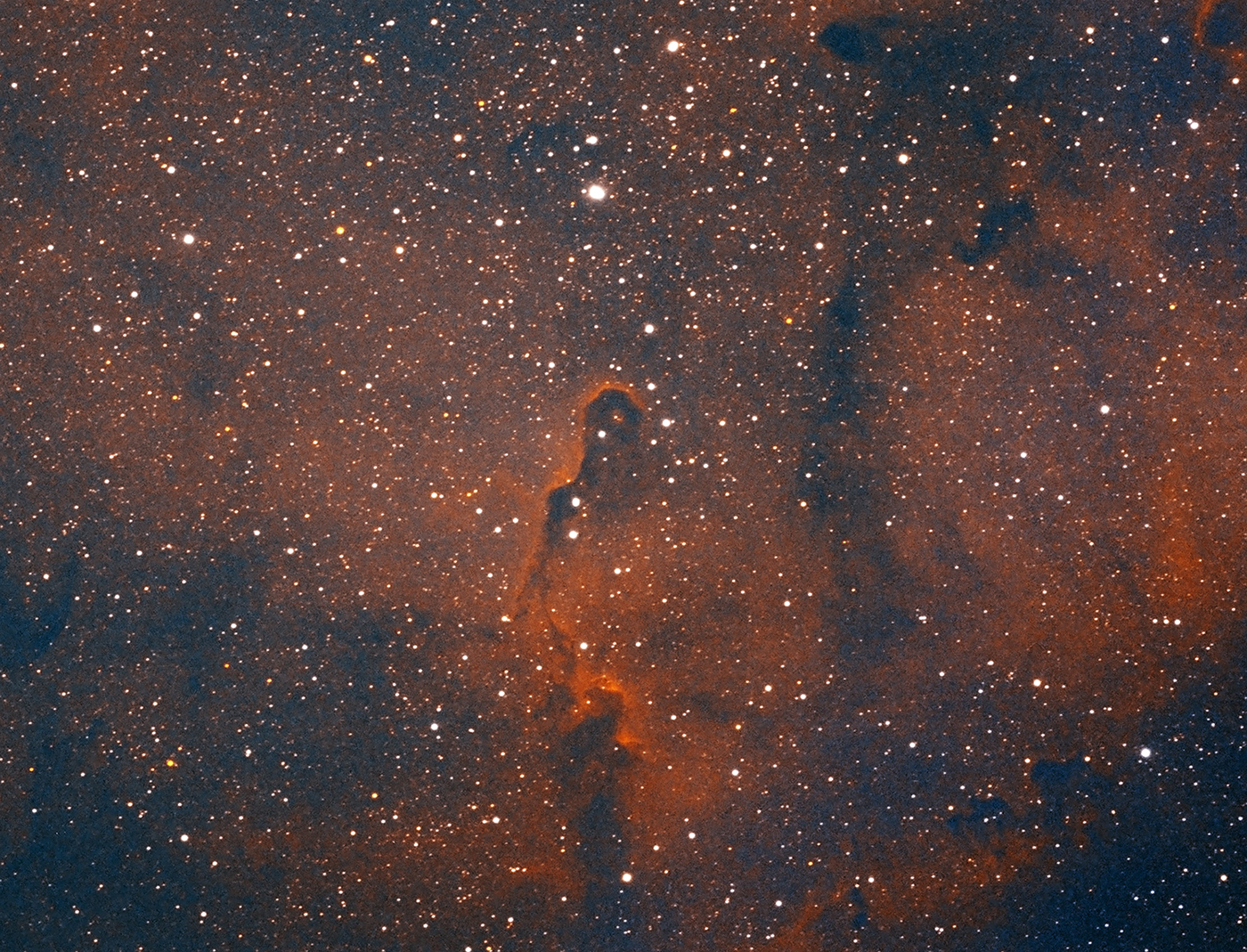 Elephant's Trunk Nebula (IC-1396) taken 08/19/23 with a ZWO ASI183MC Pro camera attached to an Celestron 8