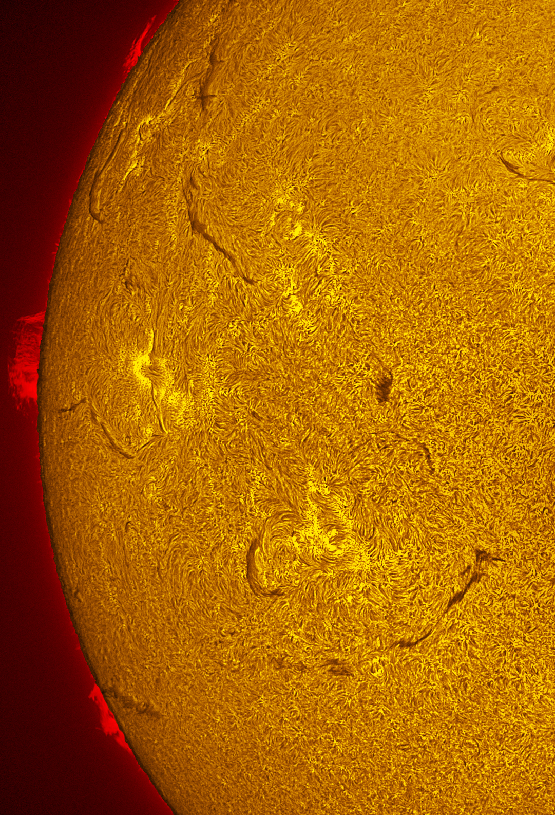 Filaments and prominences in h-alpha 06/14/26