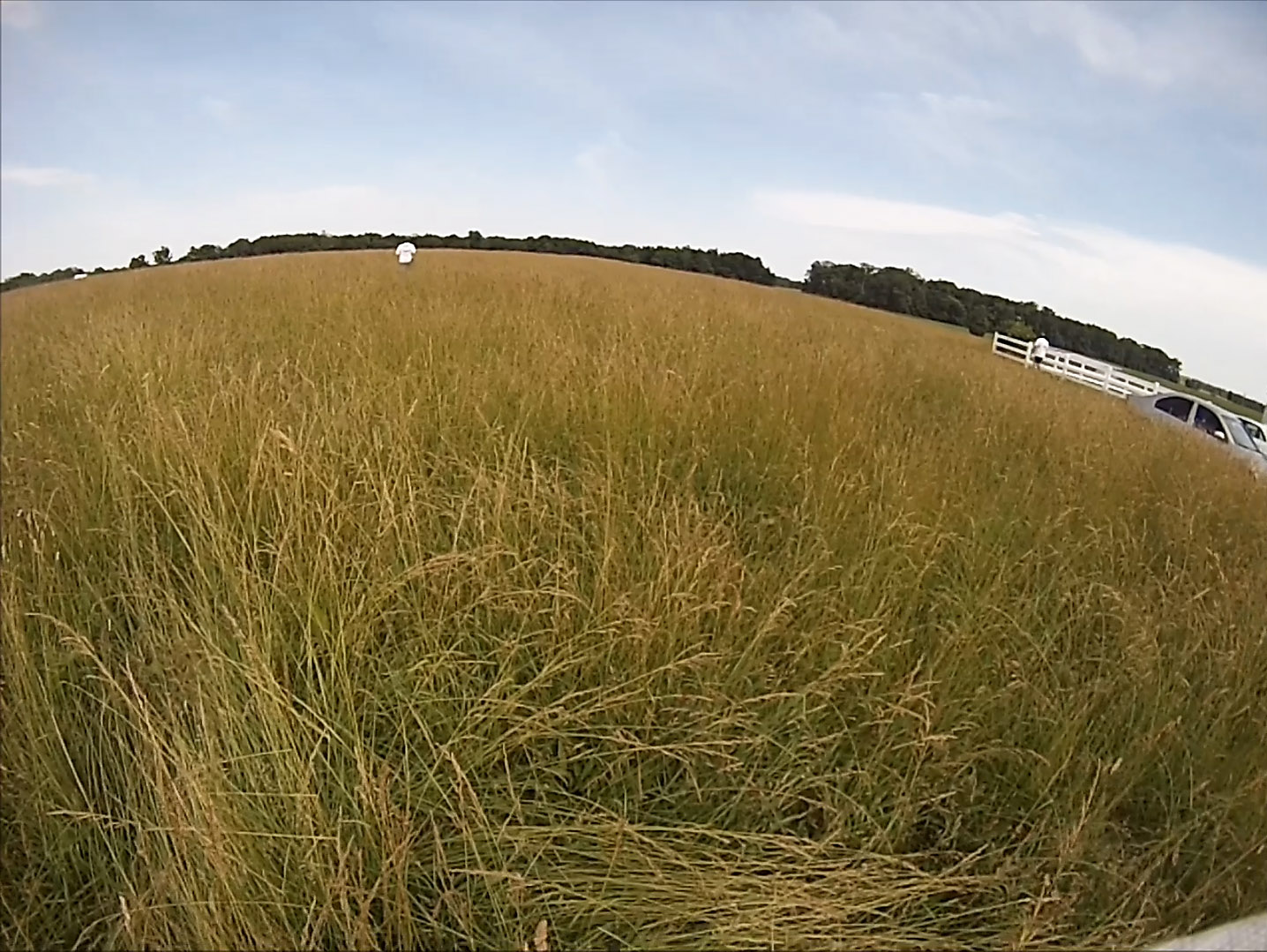 View from hat mounted GoPro Hero 3 while recovering the rocket. 