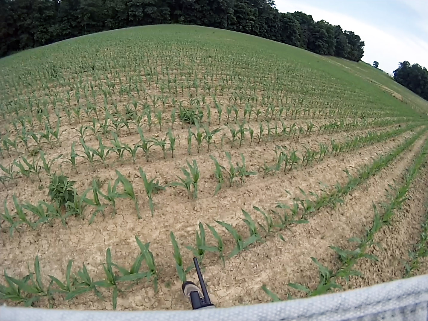 View from hat mounted GoPro Hero 3 while recovering the rocket. 