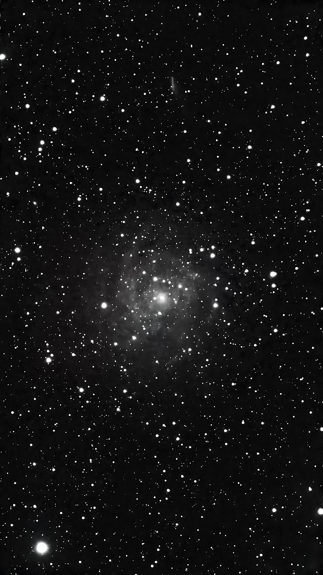 The Hidden Galaxy (IC-342) taken 12/11/24 with a Seestar S50 smart telescope.