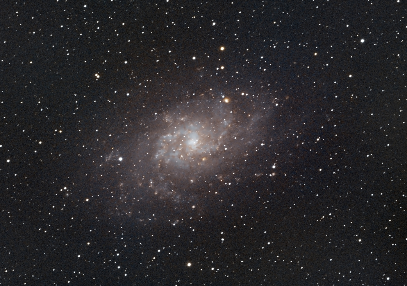 Triangulum Galaxy (M33), taken 08/24/23 with a ZWO ASI183MC Pro camera attached to an Celestron 8