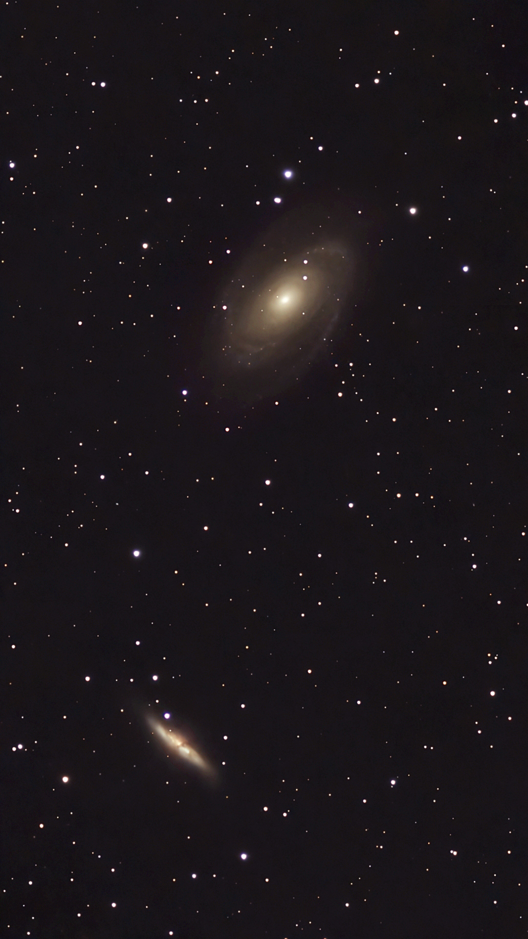 Galaxies M81 and M82 taken 01/29/25 with a Seestar S50 smart telescope.
