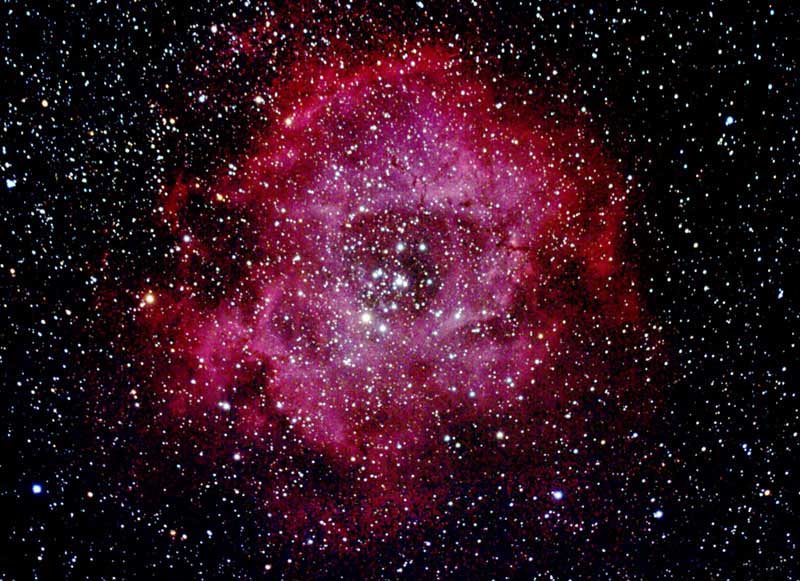 Rosette Nebula Stellar Nursery (NGC-2237) taken November 24, 2006 and December 22, 2006 with a Canon 20Da digital camera attached to a Televue 85 refractor and piggybacked on a 12