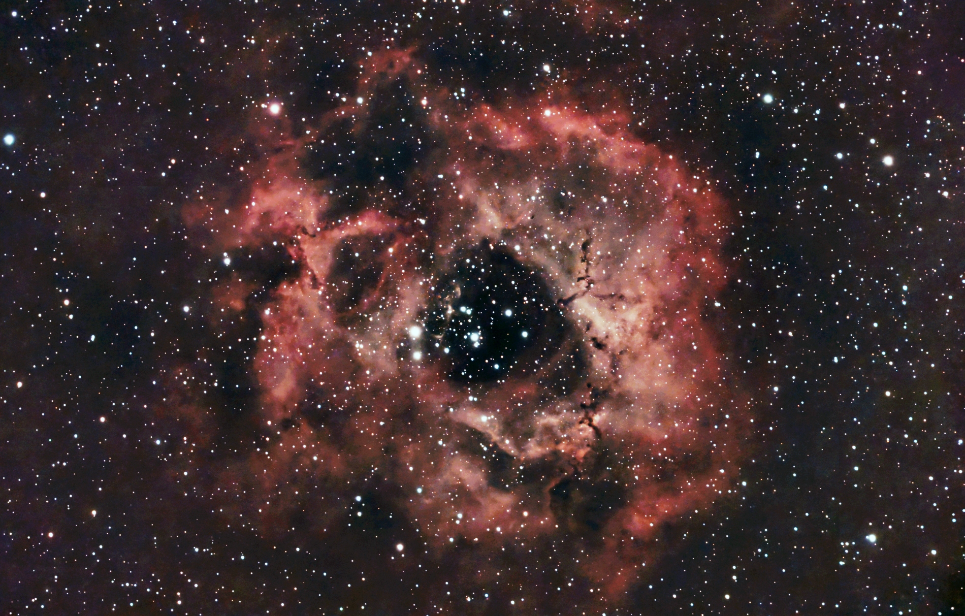 Rosette Nebula NGC2237.