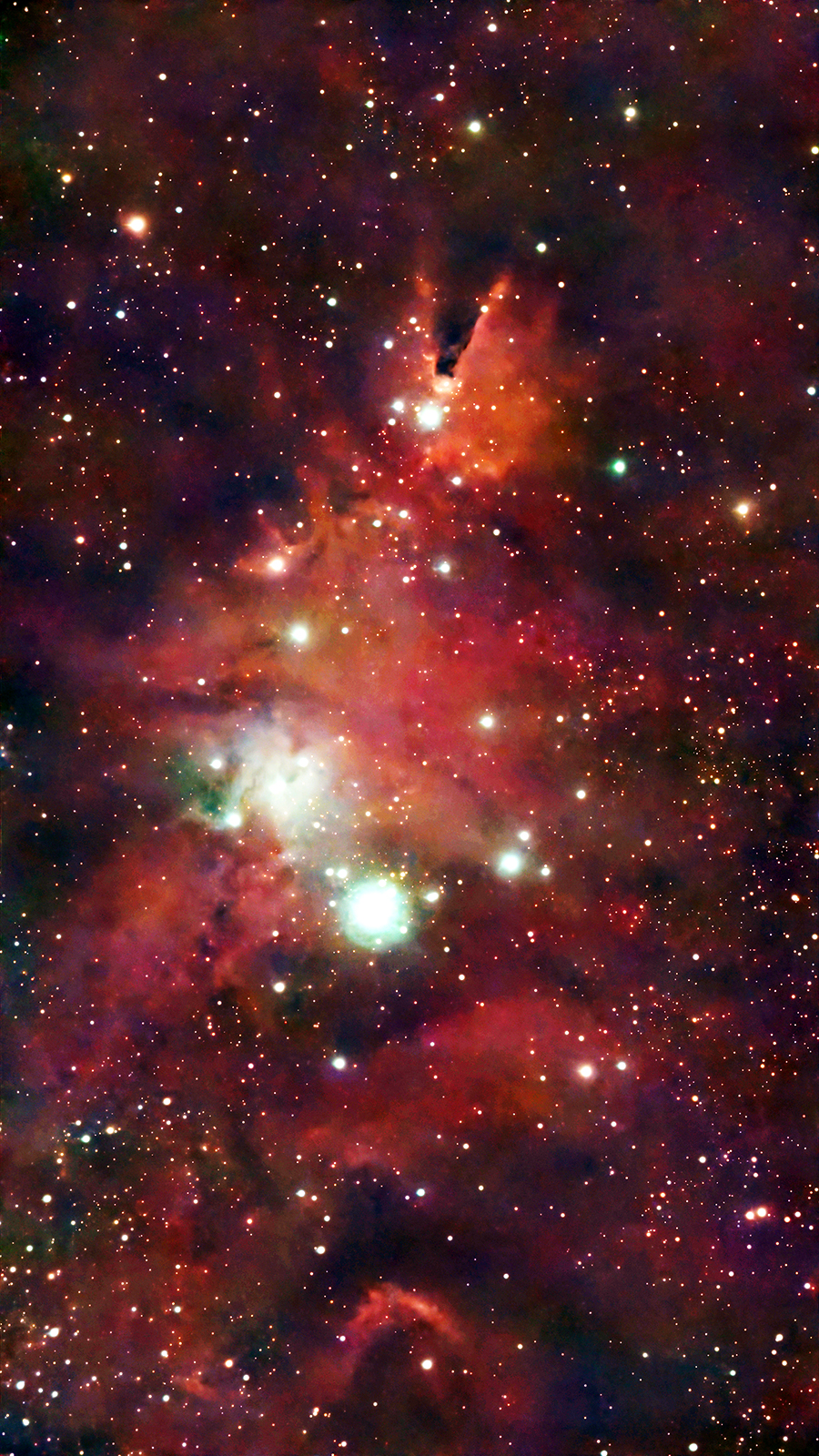 The Christmas Tree Cluster and Cone Nebula NGC2264 taken December 19, 2025 with a Seestar S50 Smart Telescope