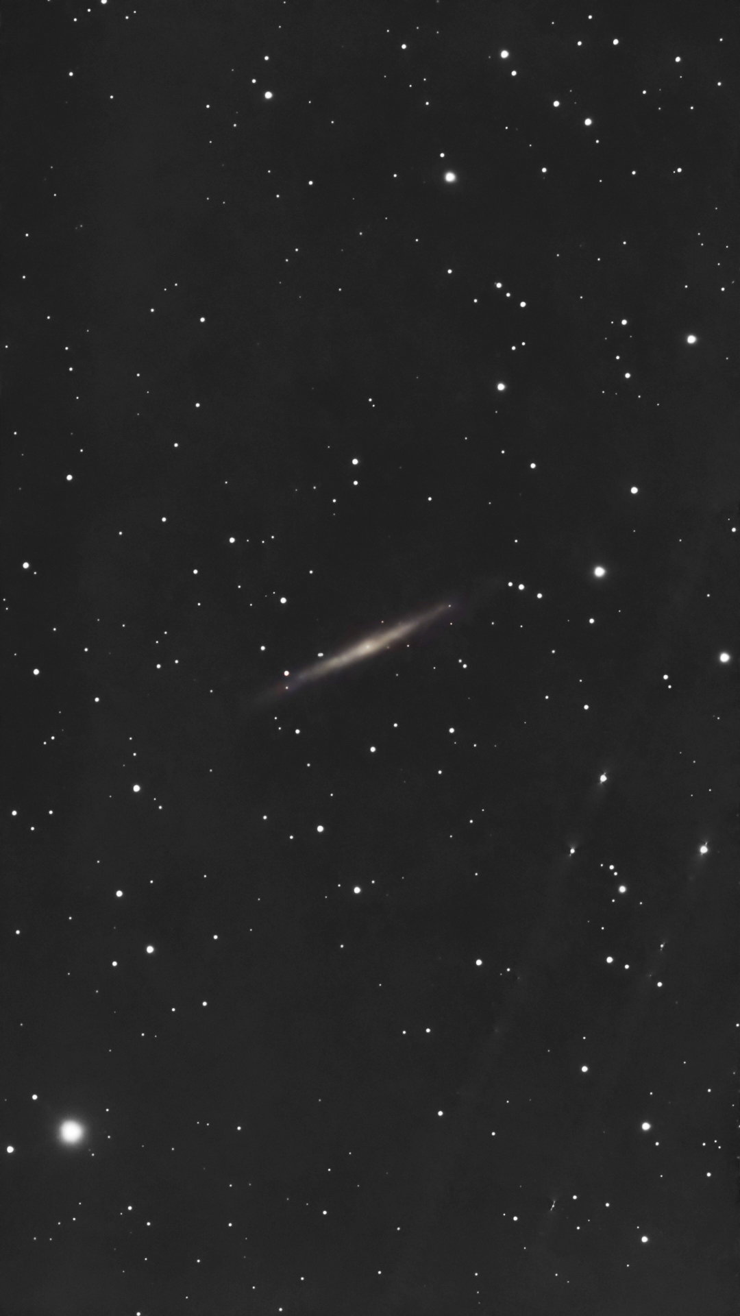 Silver Needle Galaxy NGC4244 taken 02/25/25 with a Seestar S50 smart telescope.