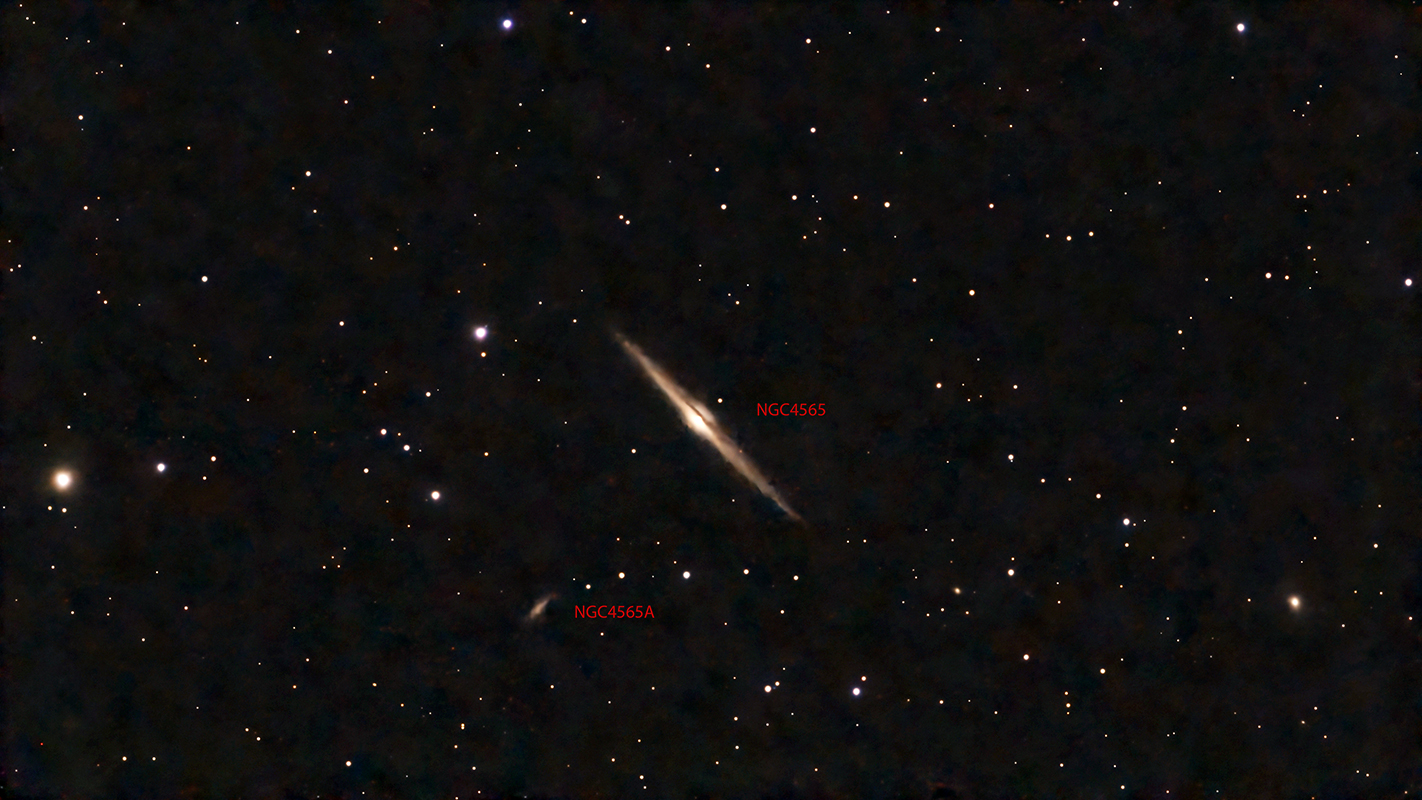 Edge-on Spiral Galaxy NGC4565 in Coma Berenices taken 03/08/26 with a Seestar S50 Pro Smart Telescope