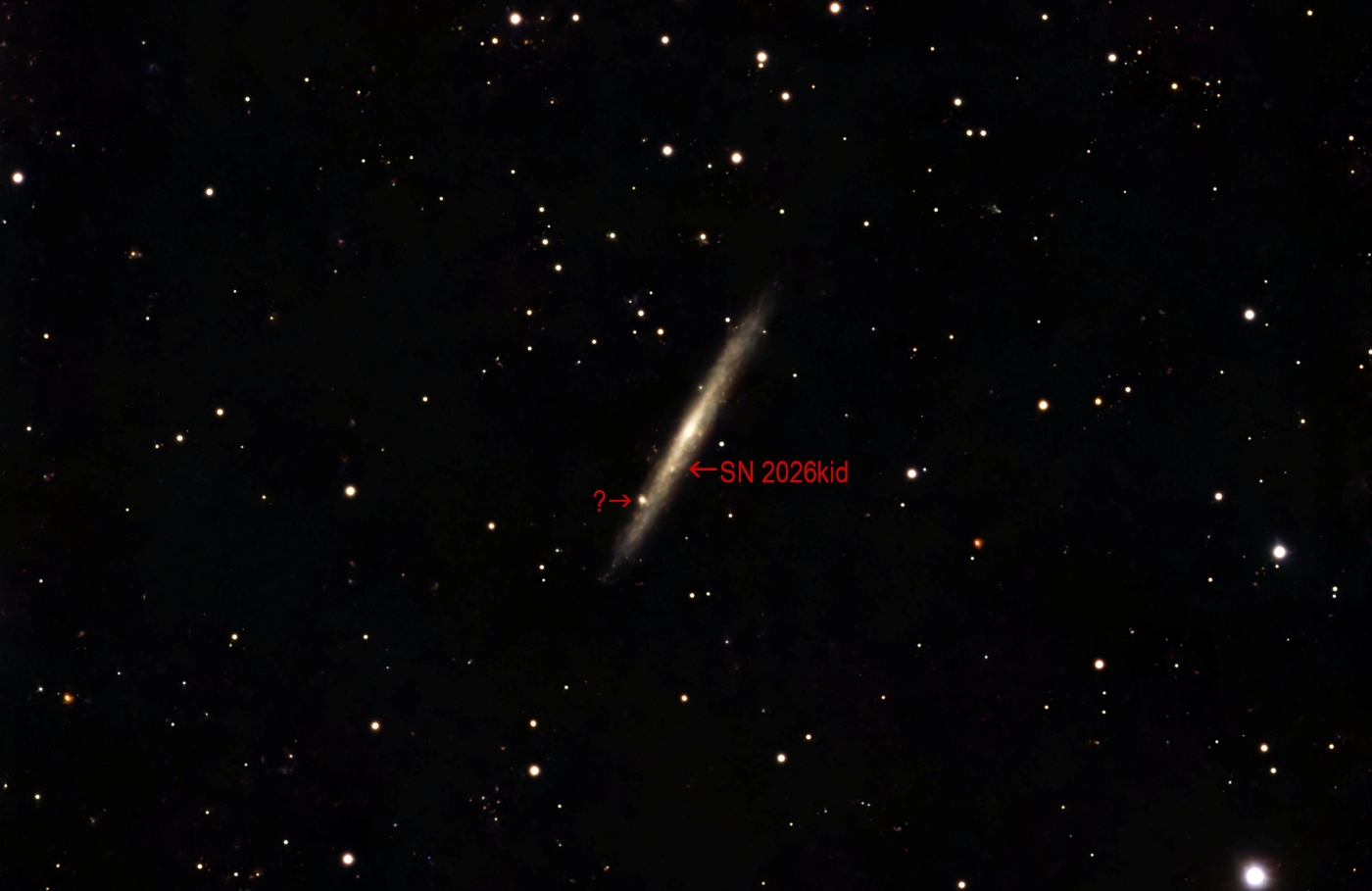 Edge-on Spiral Galaxy NGC5907 with supernova 2026kid in Draco taken 04/25/26 with a Seestar S50 Smart Telescope