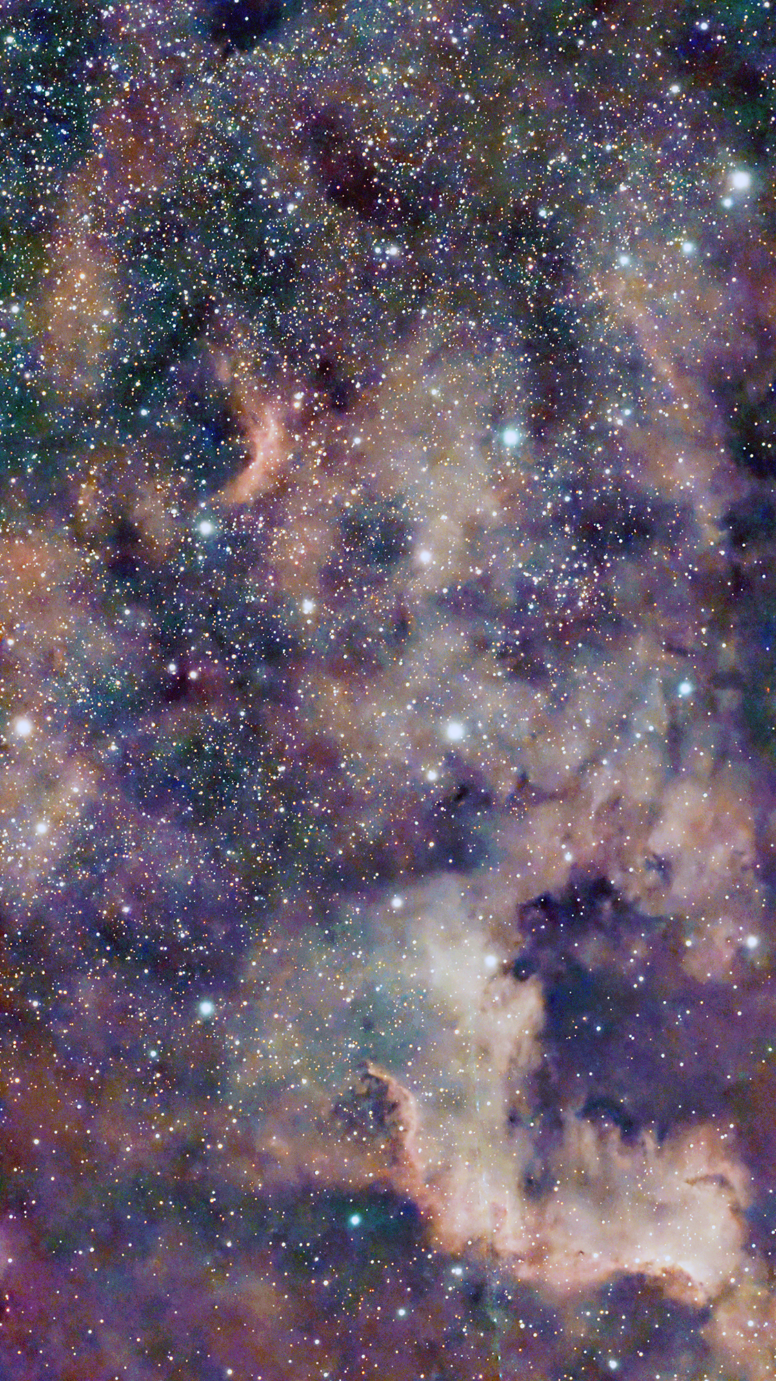 The North America Nebula, NGC7000 taken November 14, 2025 with Seestar S50 Smart Telescope in mosaic mode