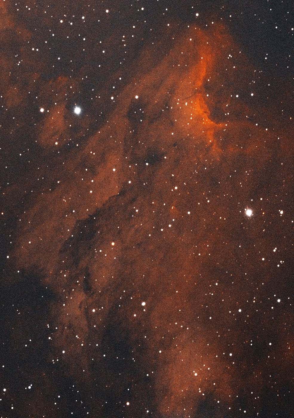 Pelican Nebula (IC-5070) taken 08/19/23 with a ZWO ASI183MC Pro camera attached to an Celestron 8