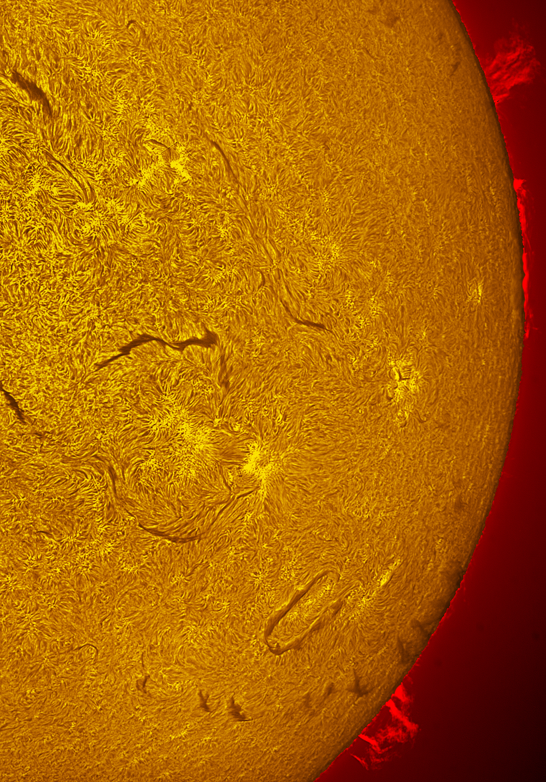 Prominence in h-alpha 06/21/26