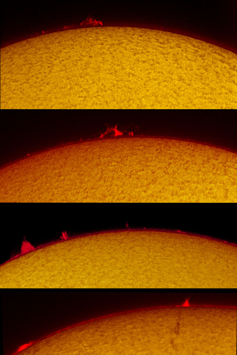 Solar Prominences in h-alpha 09/14/2007
