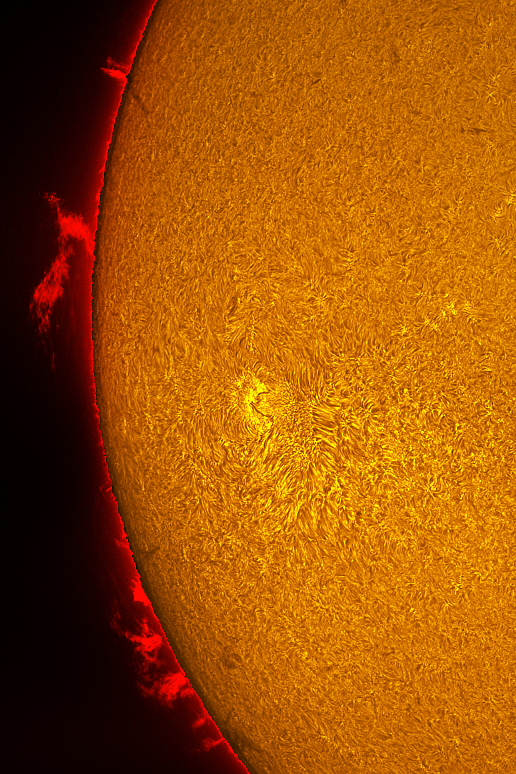 Prominences in h-alpha 10/25/26