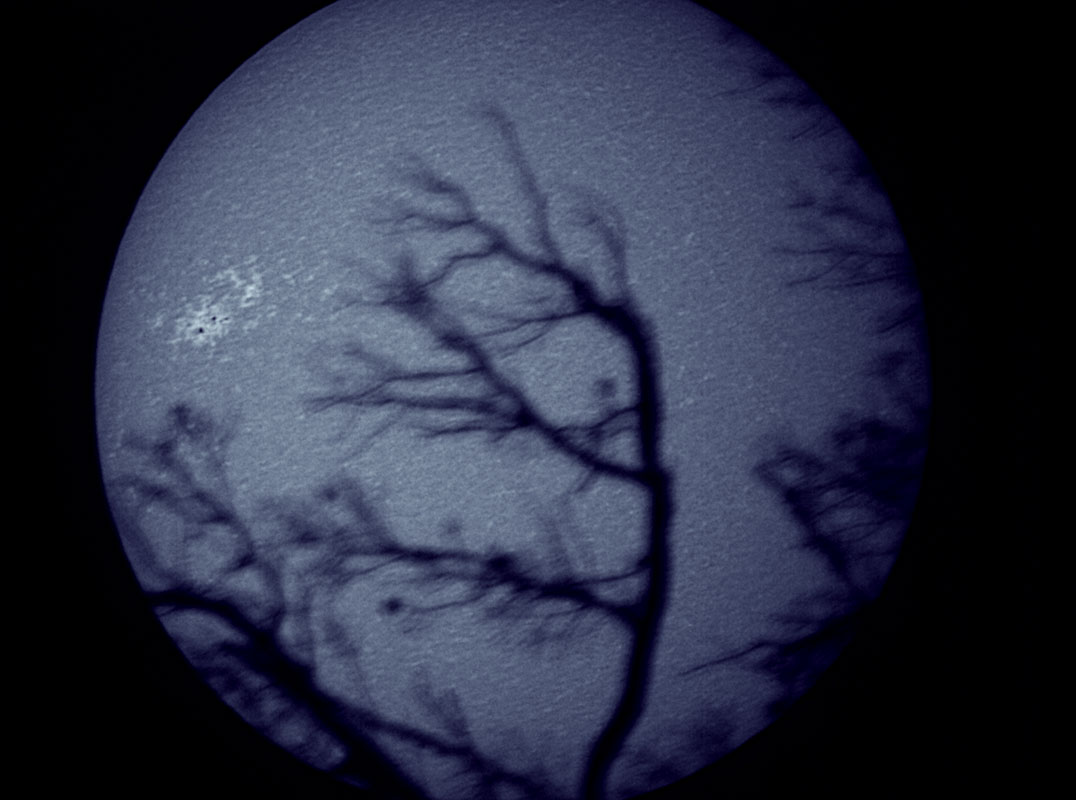 Solar disk in CaK 1/09/2010