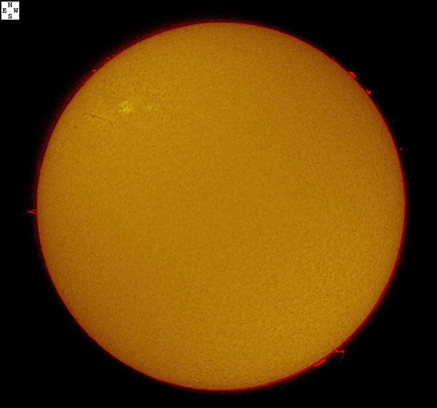 Solar disk in h-alpha 1/09/2010