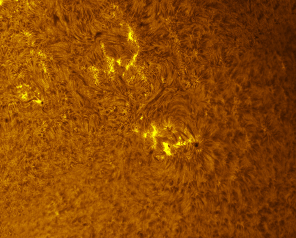 Sunspot 1395 and 1398 in h-alpha 01/15/2012
