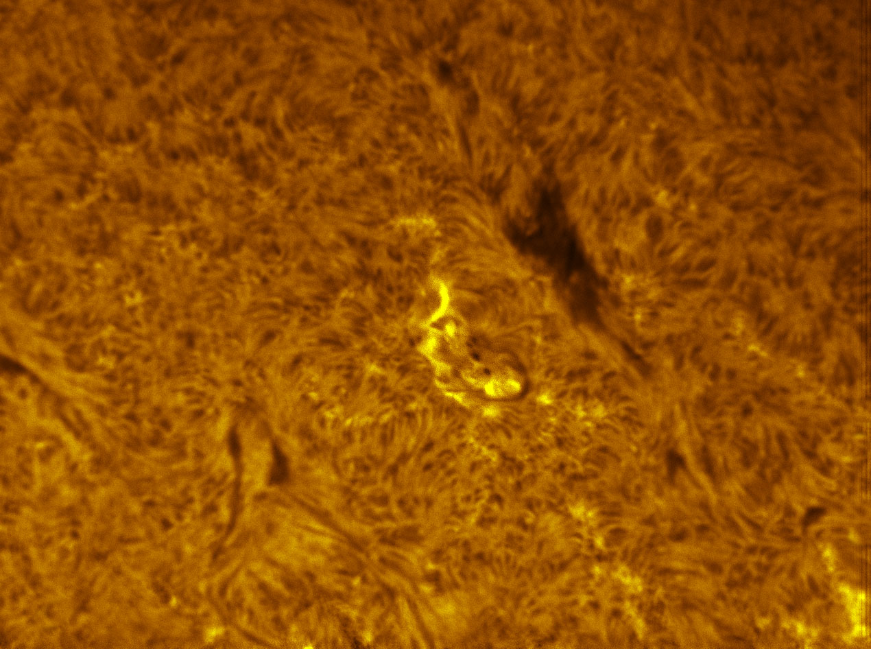 Sunspot 1396 in h-alpha 01/15/2012