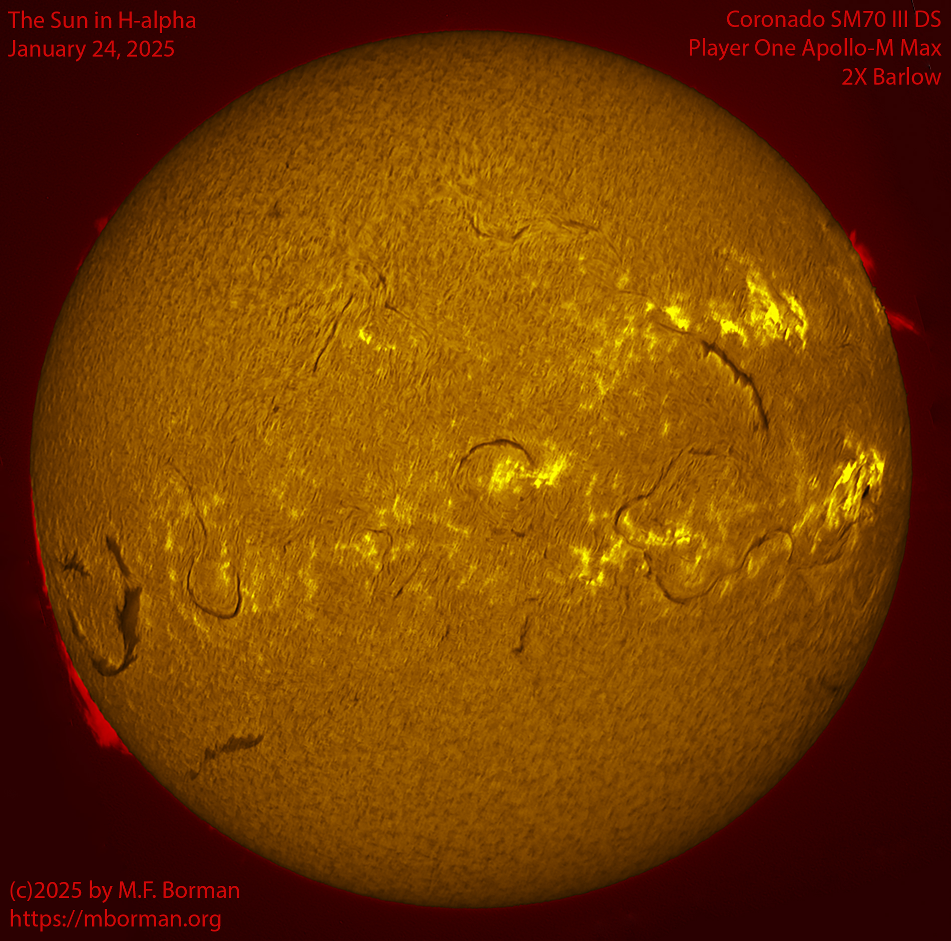 Solar image in h-alpha 01/24/25