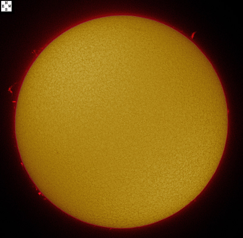 Solar prominences in h-alpha 01/31/2009